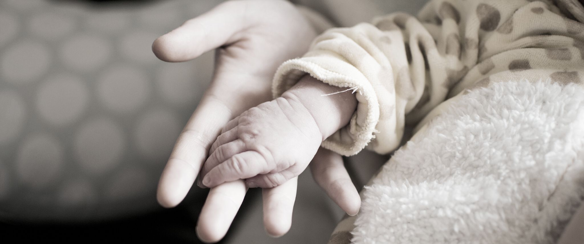 Social & Emotional Skills