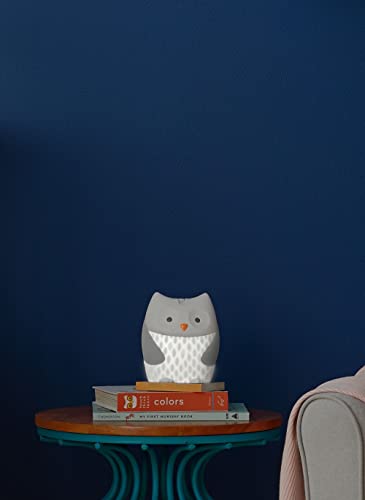 Skip Hop Baby Soothers, Multiple Variants