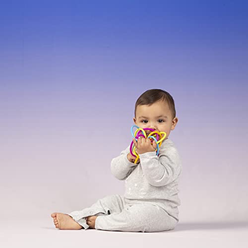 Manhattan Toy Winkel Rattle & Sensory Teether Toy