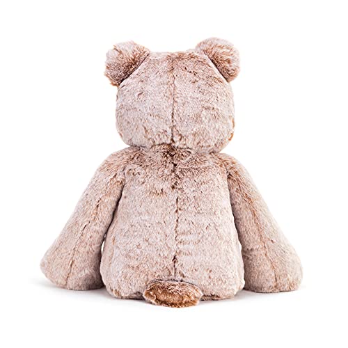 DEMDACO Here to Hug Photo Natural Brown 12 inch Plush Polyester Stuffed Animal Bear | Soft and Cuddly Toy for Children