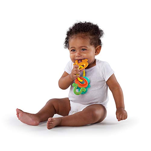 Bright Starts Oball Shaker Rattle Toy For Newborns