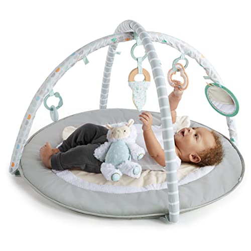 Ingenuity Sheppy's Spot Ultra Plush Baby Activity Gym & Tummy Time Mat, Newborn and up - Corrie