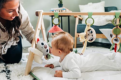Tiny Love Boho Chic Gymini Developmental Gym and Playmat for Babies - with Mirror and Detachable Toys