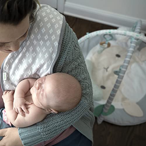 Ingenuity Sheppy's Spot Ultra Plush Baby Activity Gym & Tummy Time Mat, Newborn and up - Corrie