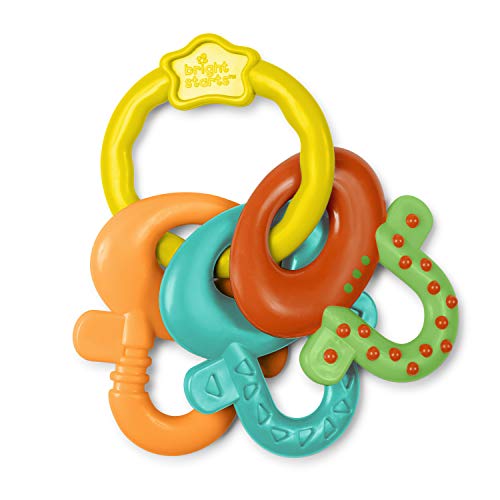 Bright Starts Oball Shaker Rattle Toy For Newborns