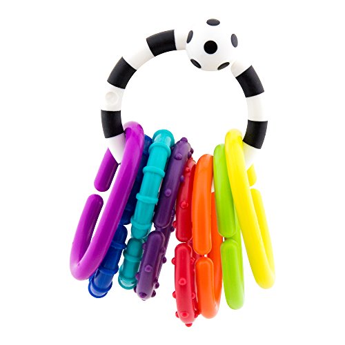 Sassy Ring O Links 9 Piece Set Rattle