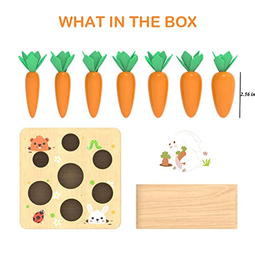 Montessori Carrots Harvest Game - Developmental Shape Sorting & Matching Puzzle for Babies and Toddlers