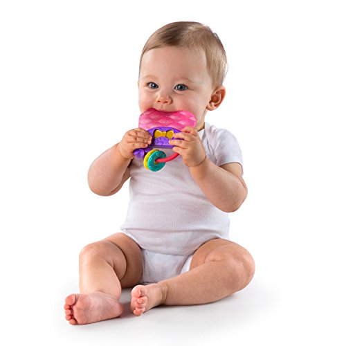 Bright Starts Oball Shaker Rattle Toy For Newborns