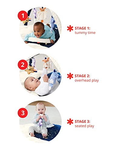 Skip Hop Baby Play Gym, Celestial Dreams