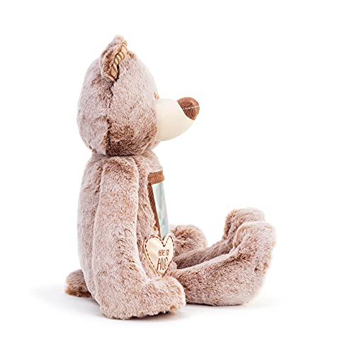 DEMDACO Here to Hug Photo Natural Brown 12 inch Plush Polyester Stuffed Animal Bear | Soft and Cuddly Toy for Children