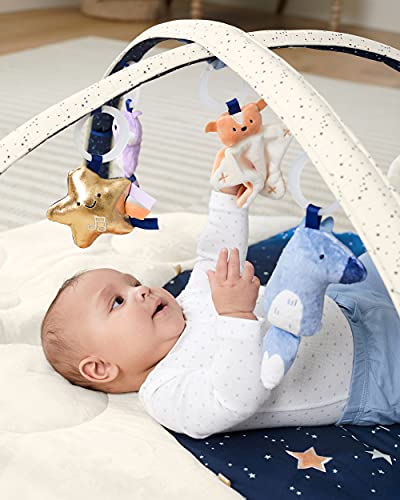 Skip Hop Baby Play Gym, Celestial Dreams