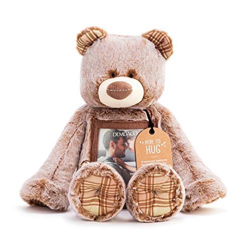 DEMDACO Here to Hug Photo Natural Brown 12 inch Plush Polyester Stuffed Animal Bear | Soft and Cuddly Toy for Children