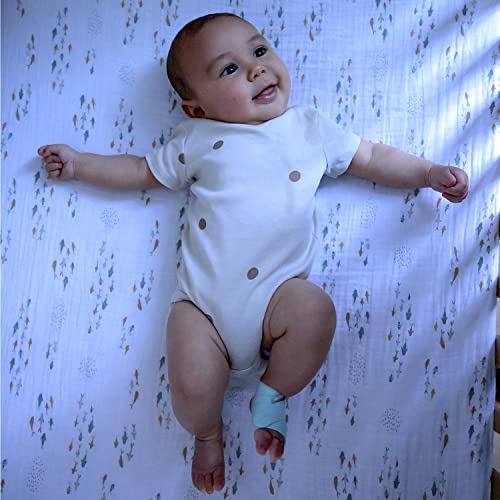 Owlet Dream Sock - Smart Baby Monitor View Heart Rate and Average Oxygen O2 as Sleep Quality Indicators