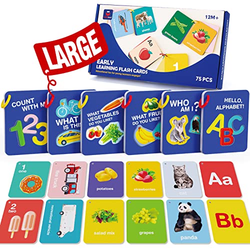 Flash Cards Baby Visual Stimulation Cards, 0-36 Months and 1-4 Years