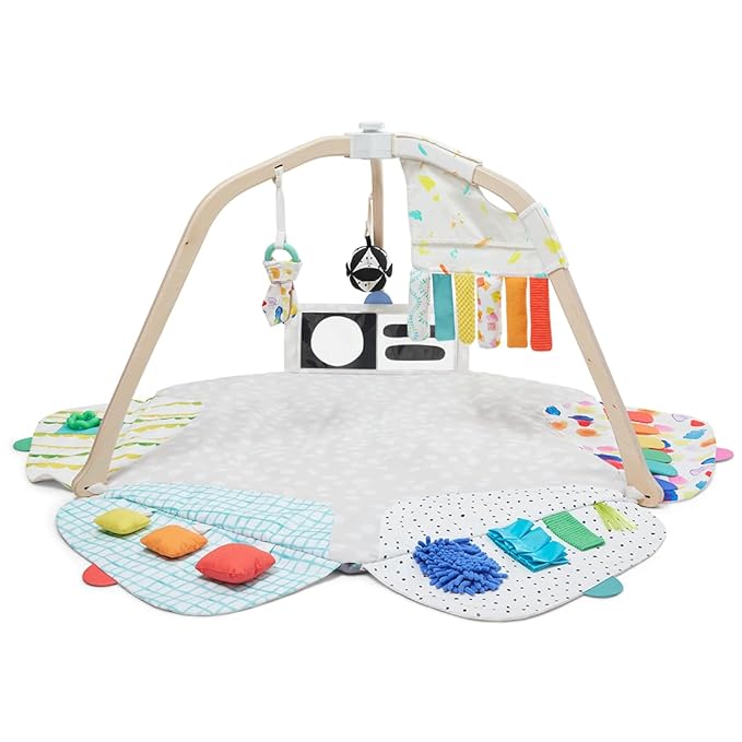 Lovevery The Play Activity Gym, Ages 0+ Months