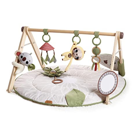 Tiny Love Boho Chic Gymini Developmental Gym and Playmat for Babies -  with Mirror and Detachable Toys