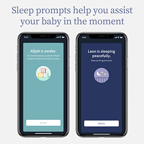 Owlet Dream Duo Smart Baby Monitor - Video Baby Monitor with HD Camera & Dream Sock: Monitor Heart Rate & Oxygen Levels for Better Sleep